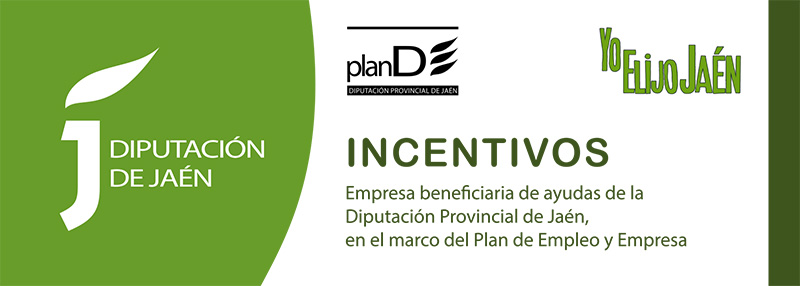 Reseña web diputación